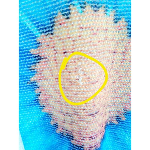 NT By Amati XL Italy SS Sweater Shirt Top Blue Sunflower Boat Neck *Loose Stitch - Picture 5 of 7